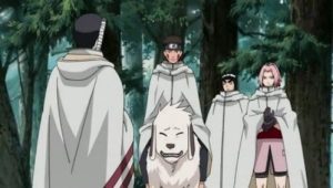 Naruto Shippūden: Season 10 Full Episode 212