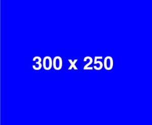 300x250